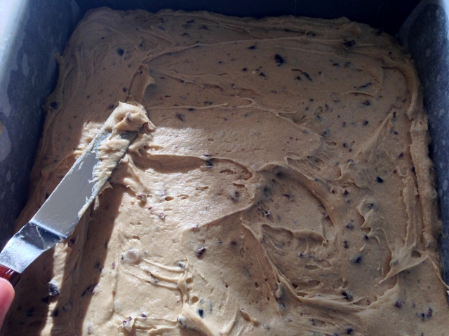Cocoa Nib Blondies with White Chocolate Glaze 036 (640x480)