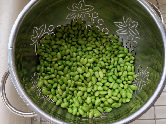 Edamame Spinach Salad with Avocado Dressing 008 (640x480)