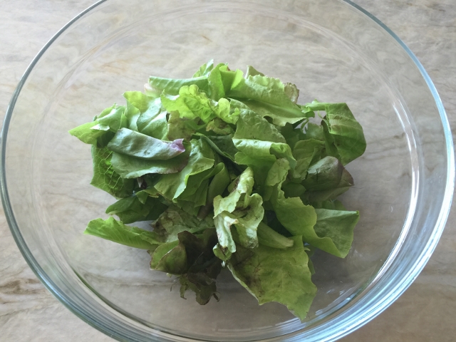 Proscuitto Melon & Burrata Salad 027 (640x480)