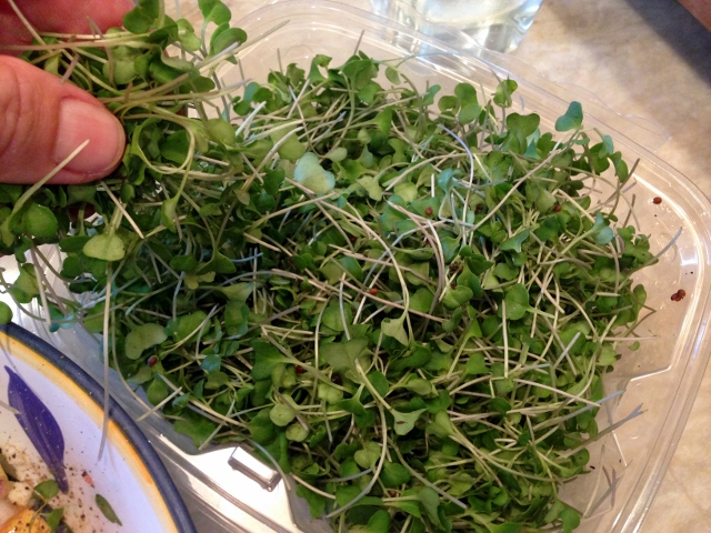 Tomato & Avocado Salad with Feta Dressing 041 (640x480)
