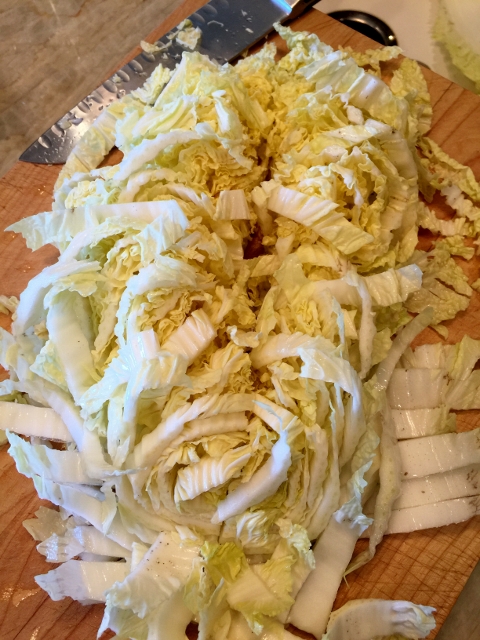 Asian Chicken Salad 010 (480x640)