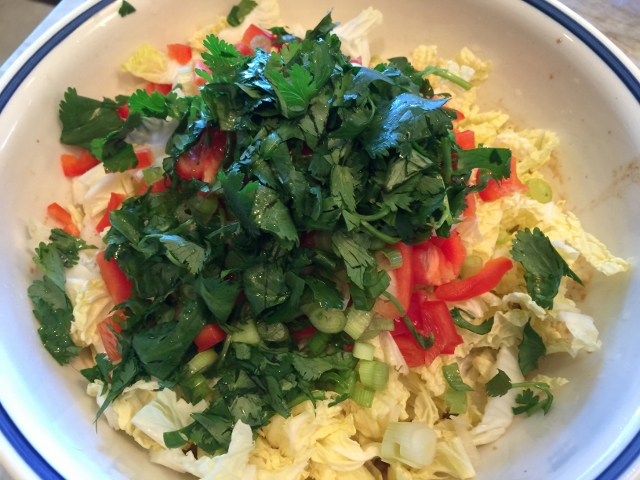 Asian Chicken Salad 013 (640x480)