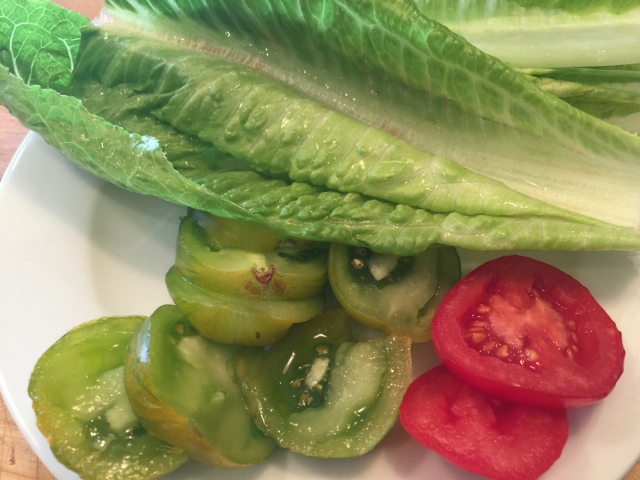 Green Chili Cheeseburgers 016 (640x480)