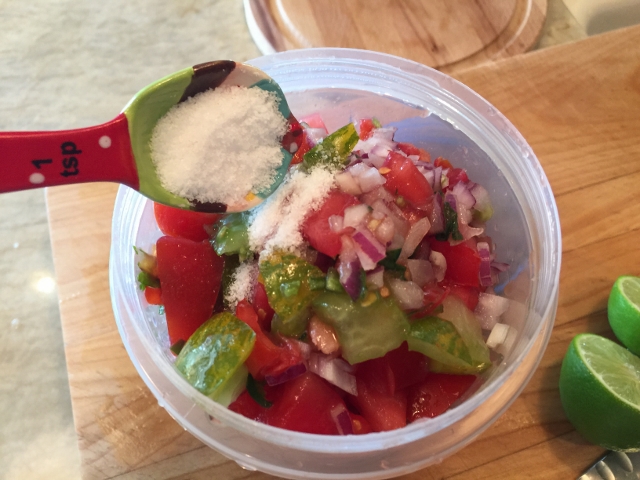 Summer Tomato Salsa 013 (640x480)