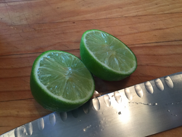 Summer Tomato Salsa 016 (640x480)