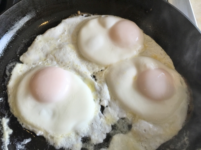 Breakfast Tartine 001 (640x480)