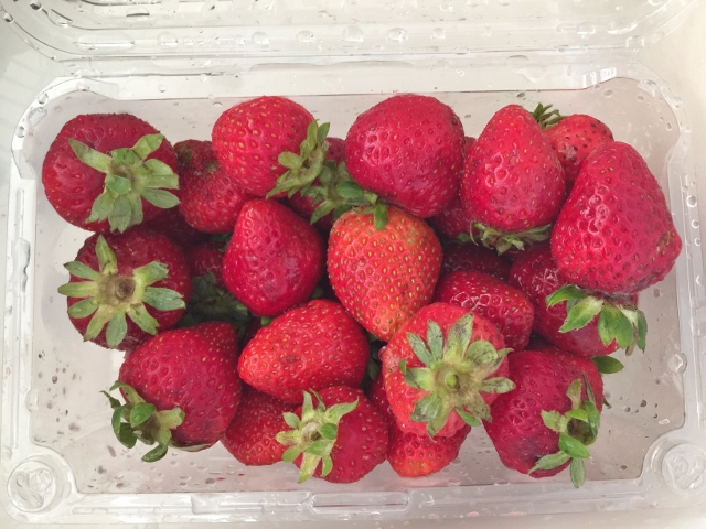 Grilled Strawberry Shortcake Kebabs 005 (640x480)