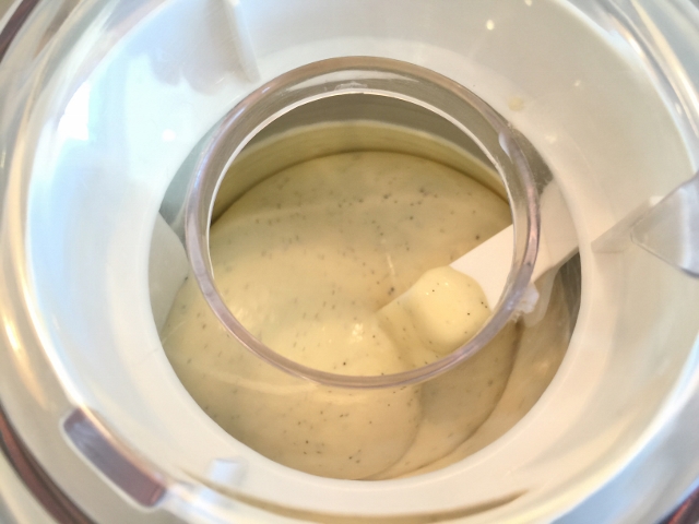 Triple Vanilla Ice Cream Sundaes 086 (640x480)