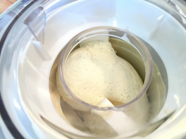 Triple Vanilla Ice Cream Sundaes 088 (640x480)