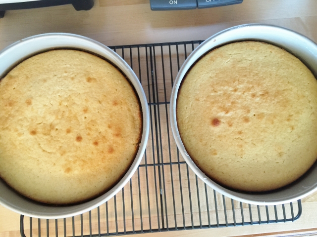 Birthday Cake 070 (640x480)