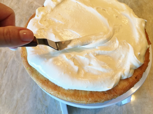 Birthday Cake 093 (640x480)