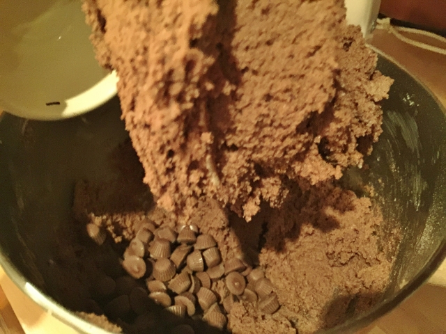 Milk Chocolate Gobs 025 (640x480)