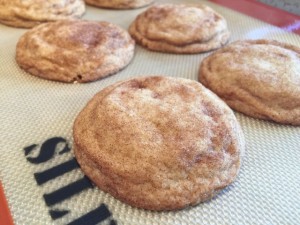 Snickerdoodle Doo's 065 (640x480)