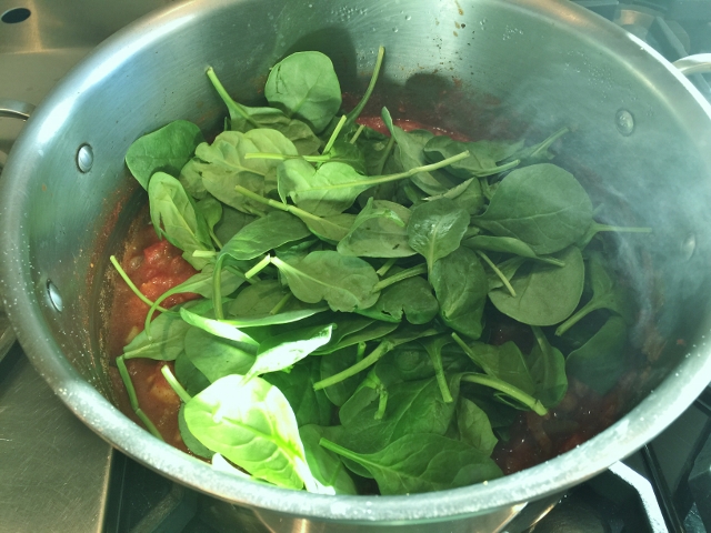 Chicken Vegetable Chili 025 (640x480)