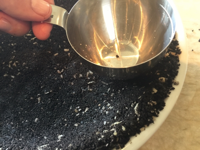 Coconut Cream Pie with Chocolate Crumb Crust 039 (640x480)