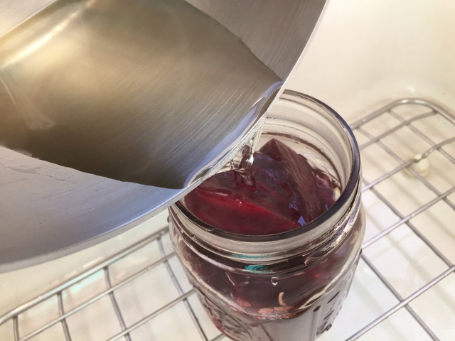 Pickled Beet, Avocado & Feta Salad 042 (640x480)