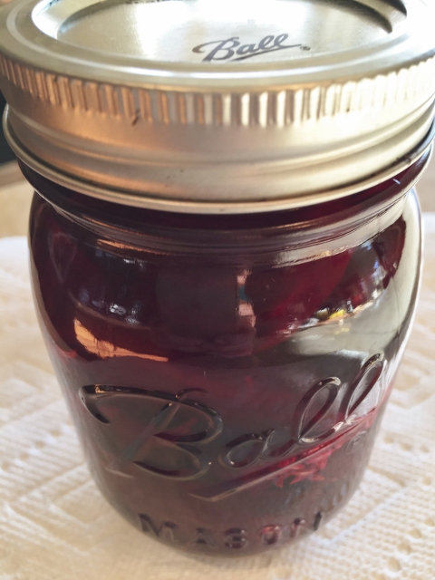 Pickled Beet, Avocado & Feta Salad 051 (480x640)