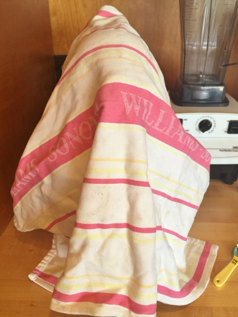 Chocolate Chip Orange Almond Biscotti 009 (480x640)