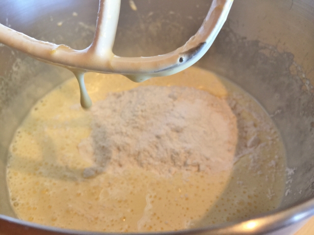 Chocolate Chip Orange Almond Biscotti 017 (640x480)