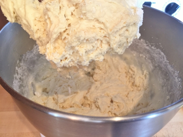 Chocolate Chip Orange Almond Biscotti 019 (640x480)