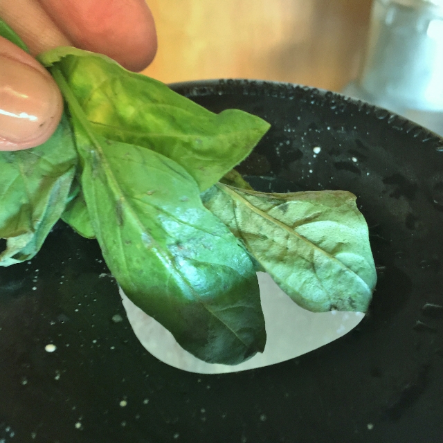 Parmesan Almond Chicken Fingers with Basil Lime Dipping Sauce 030 (640x640)