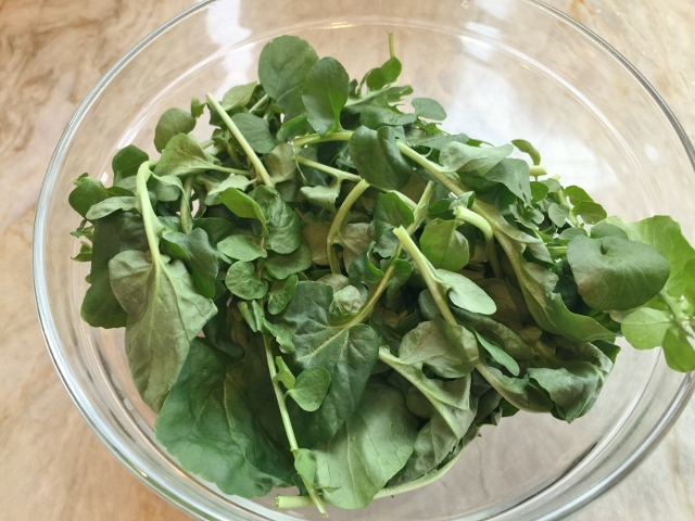 Watercress, Strawberry and Feta Cream Salad 008 (640x480)