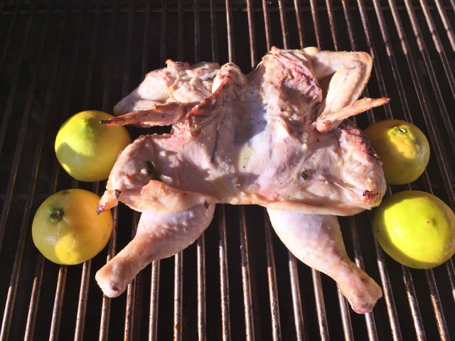 Grilled Lemon Spatchcocked Chicken with Basil Arugula Oil 027 (640x480)