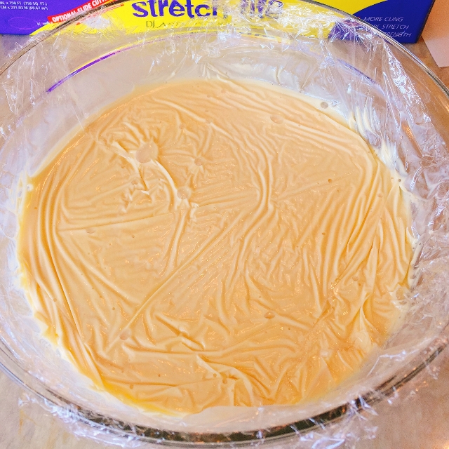 Honey Cheesecake Ice Cream 017 (640x640)