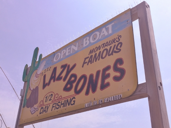 Hamptons 015 (560x420)