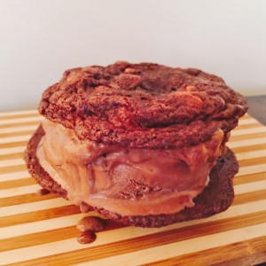 Milk Chocolate & Peanut Butter Chip Ice Cream Sandwiches 110 (560x560)