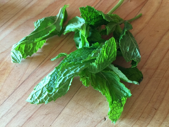 Watermelon Mojitos 006 (560x420)