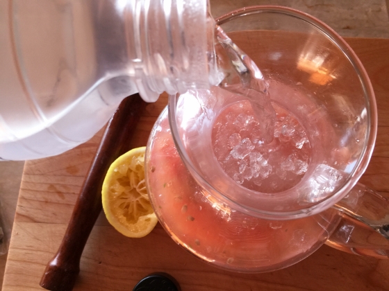 Watermelon Mojitos 065 (560x420)