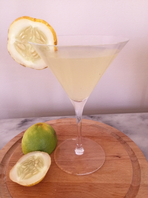 lemon-cucumber-gimlet-038-488x650