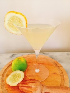 lemon-cucumber-gimlet-052-488x650