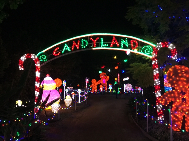 hunter-valley-sydney-105-650x488