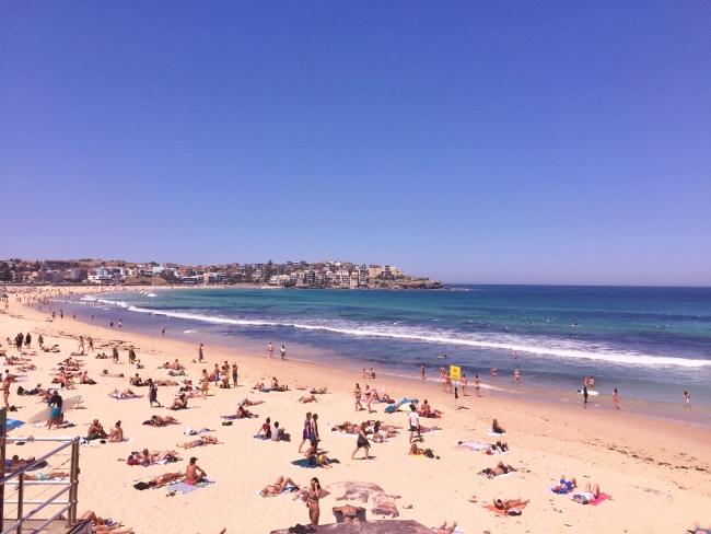 hunter-valley-sydney-270-650x488