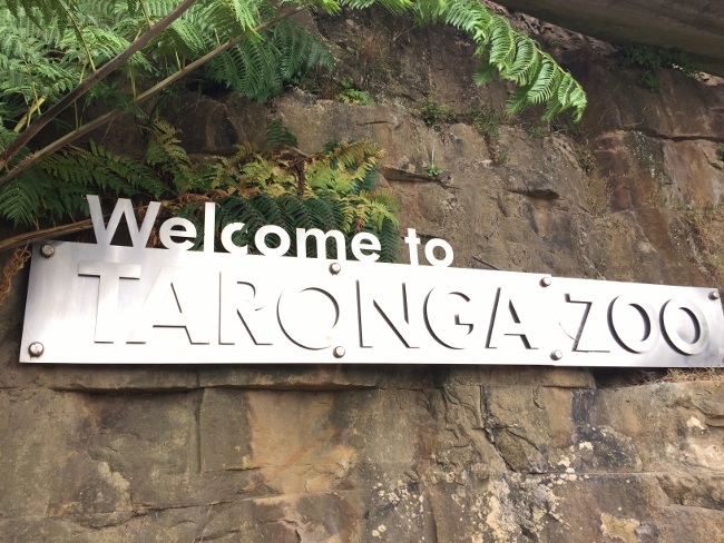 hunter-valley-sydney-303-650x488