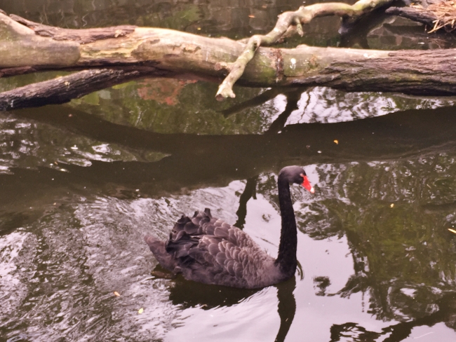 hunter-valley-sydney-312-650x488