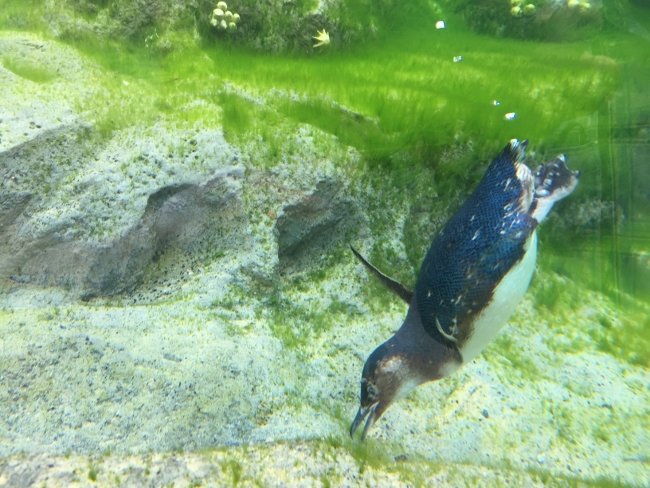 hunter-valley-sydney-349-650x488